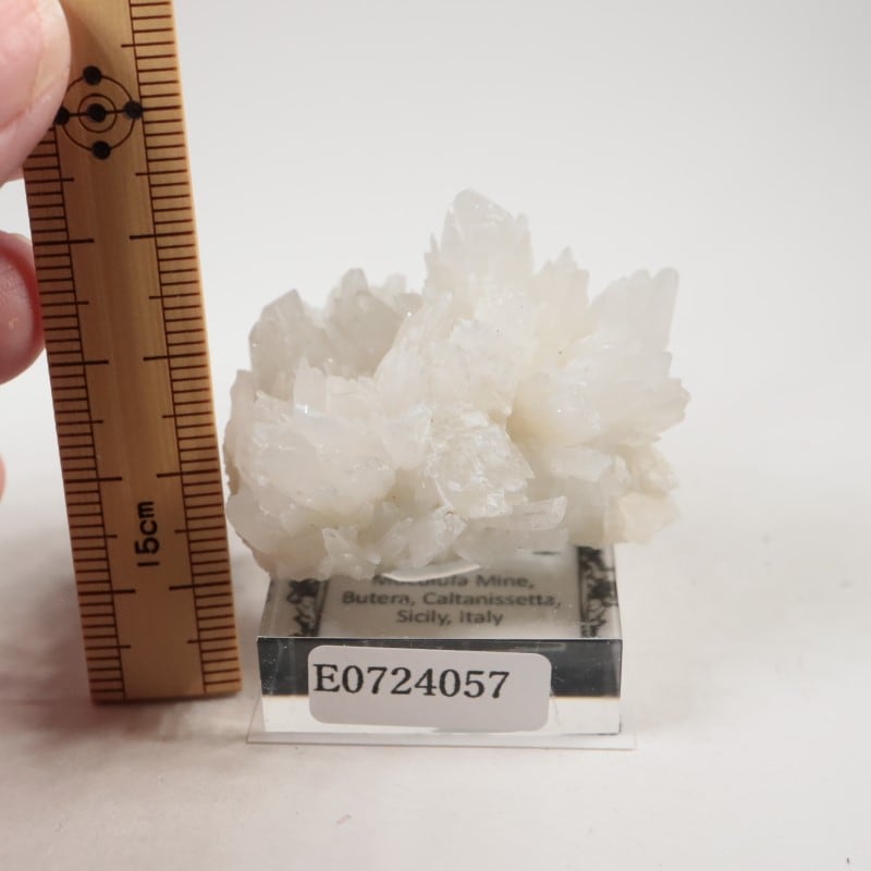 �����ꥢ�������쥹�ƥ���ʥ��쥹�����ȡ�