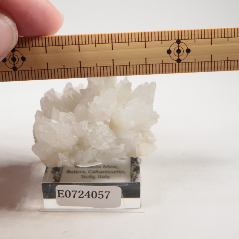 �����ꥢ�������쥹�ƥ���ʥ��쥹�����ȡ�