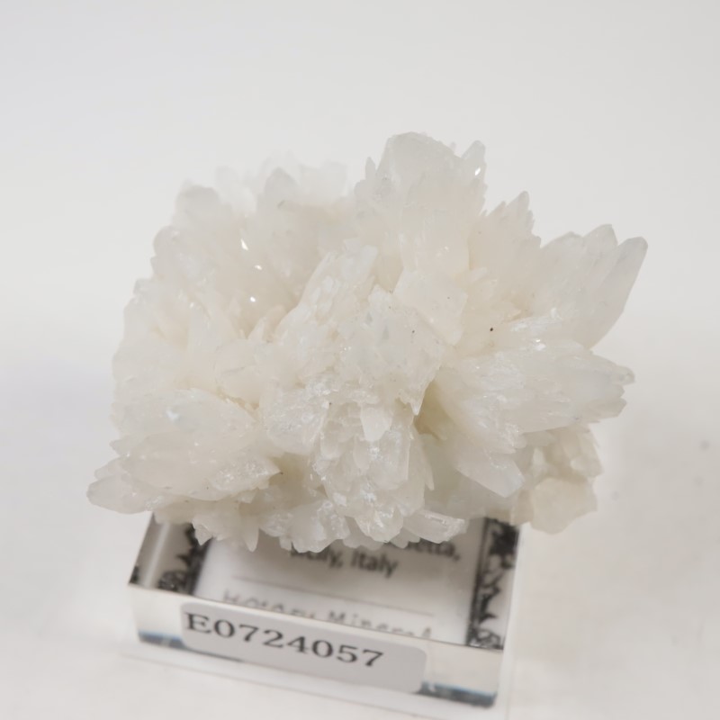 �����ꥢ�������쥹�ƥ���ʥ��쥹�����ȡ�