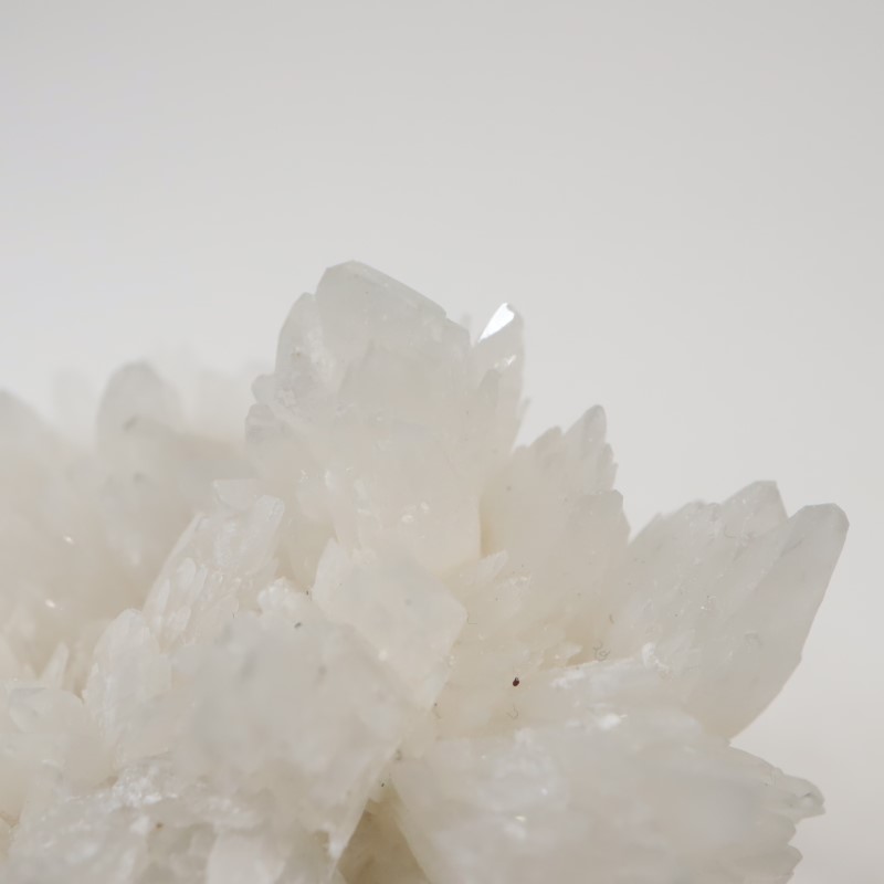 �����ꥢ�������쥹�ƥ���ʥ��쥹�����ȡ�