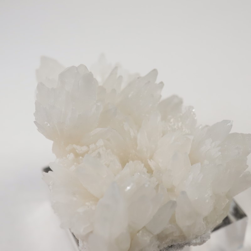 �����ꥢ�������쥹�ƥ���ʥ��쥹�����ȡ�