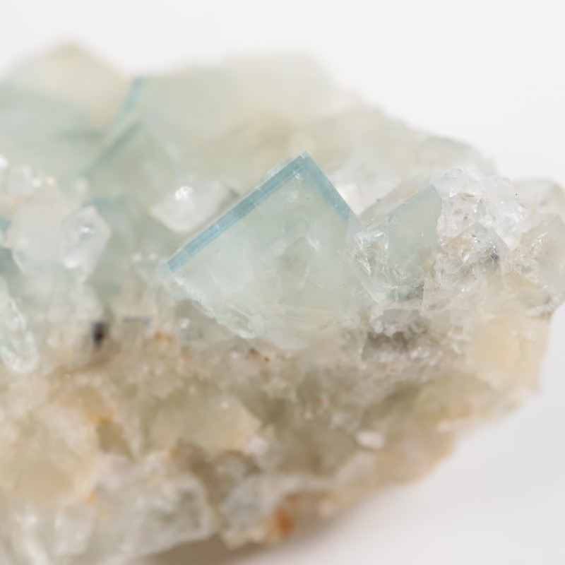 �����ꥹ�� �ե����饤�ȡ��徽