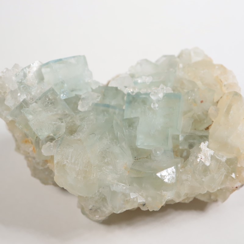 �����ꥹ�� �ե����饤�ȡ��徽