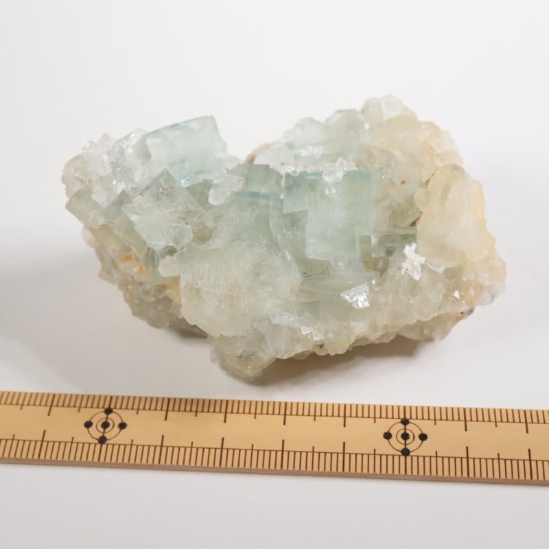 �����ꥹ�� �ե����饤�ȡ��徽