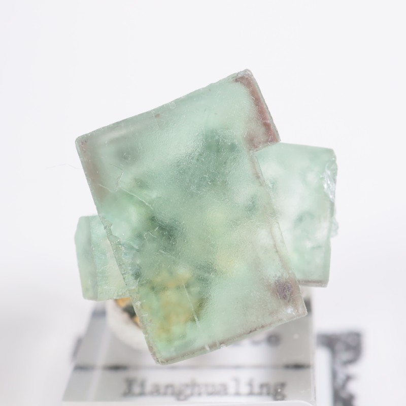 Xianghualing�� �ե����饤��