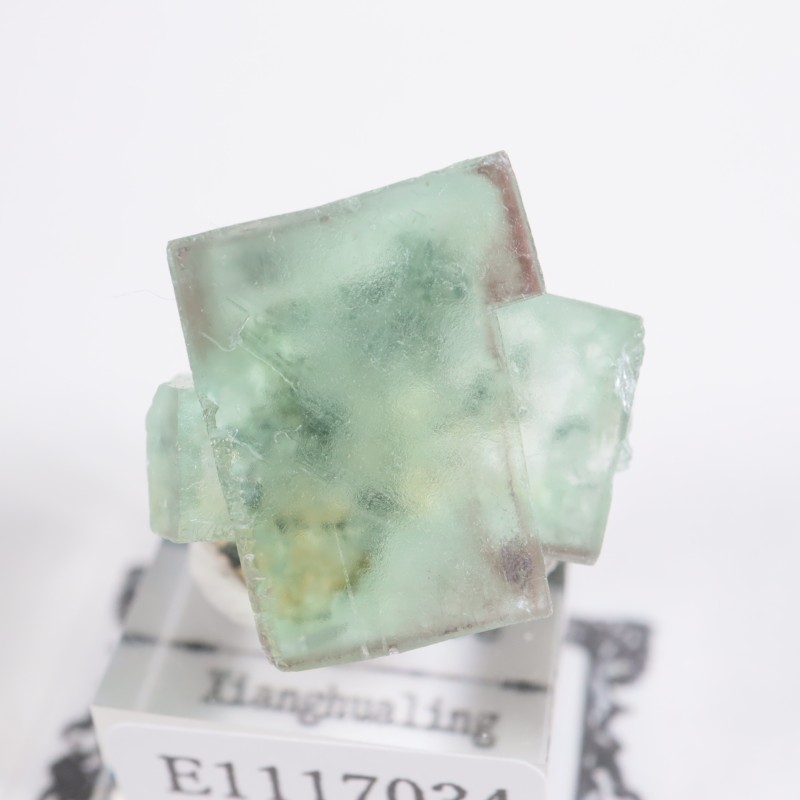 Xianghualing�� �ե����饤��