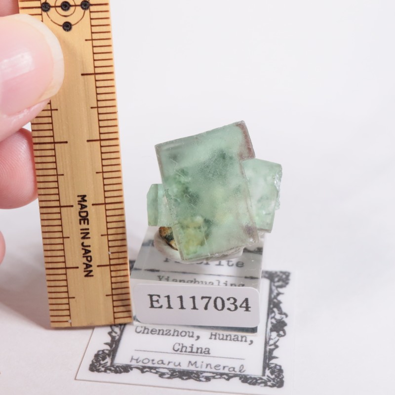 Xianghualing�� �ե����饤��