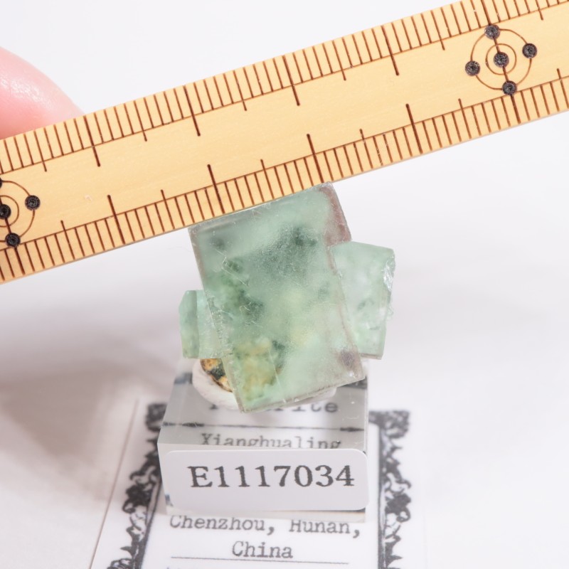 Xianghualing�� �ե����饤��