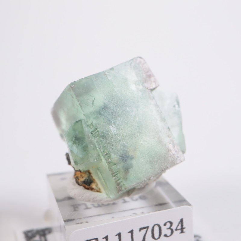 Xianghualing�� �ե����饤��