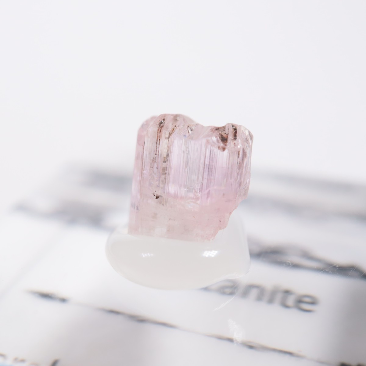 ����˥ҥ륺�� ���󥶥ʥ���