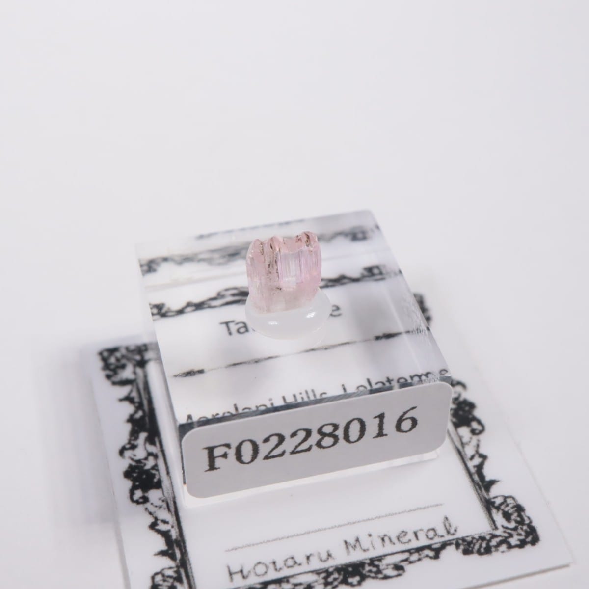 ����˥ҥ륺�� ���󥶥ʥ���