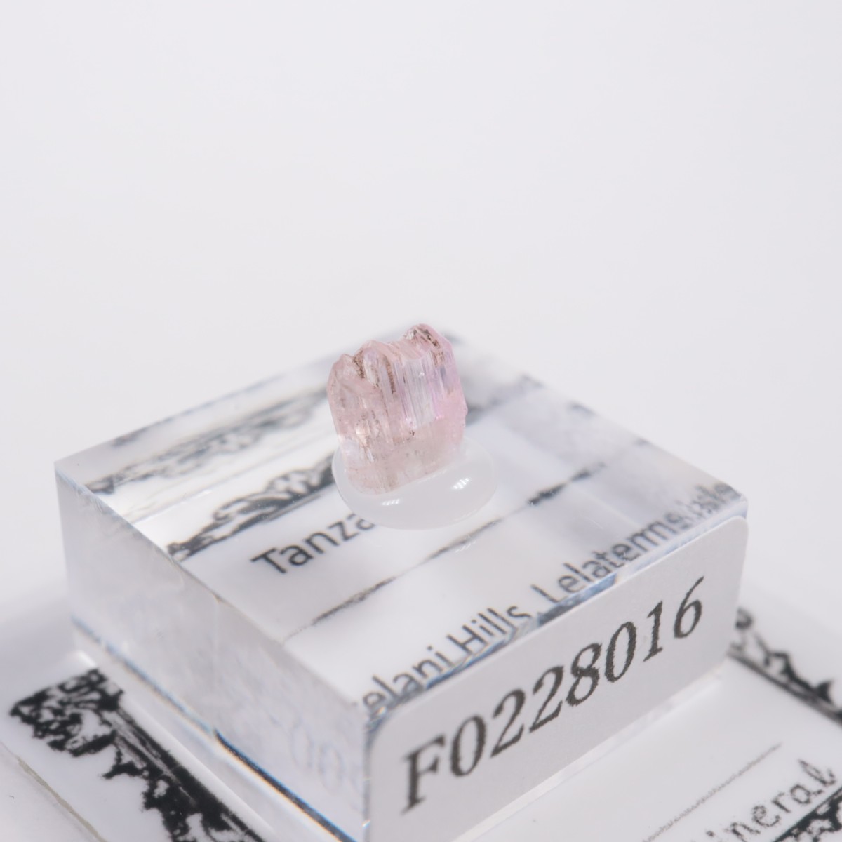 ����˥ҥ륺�� ���󥶥ʥ���