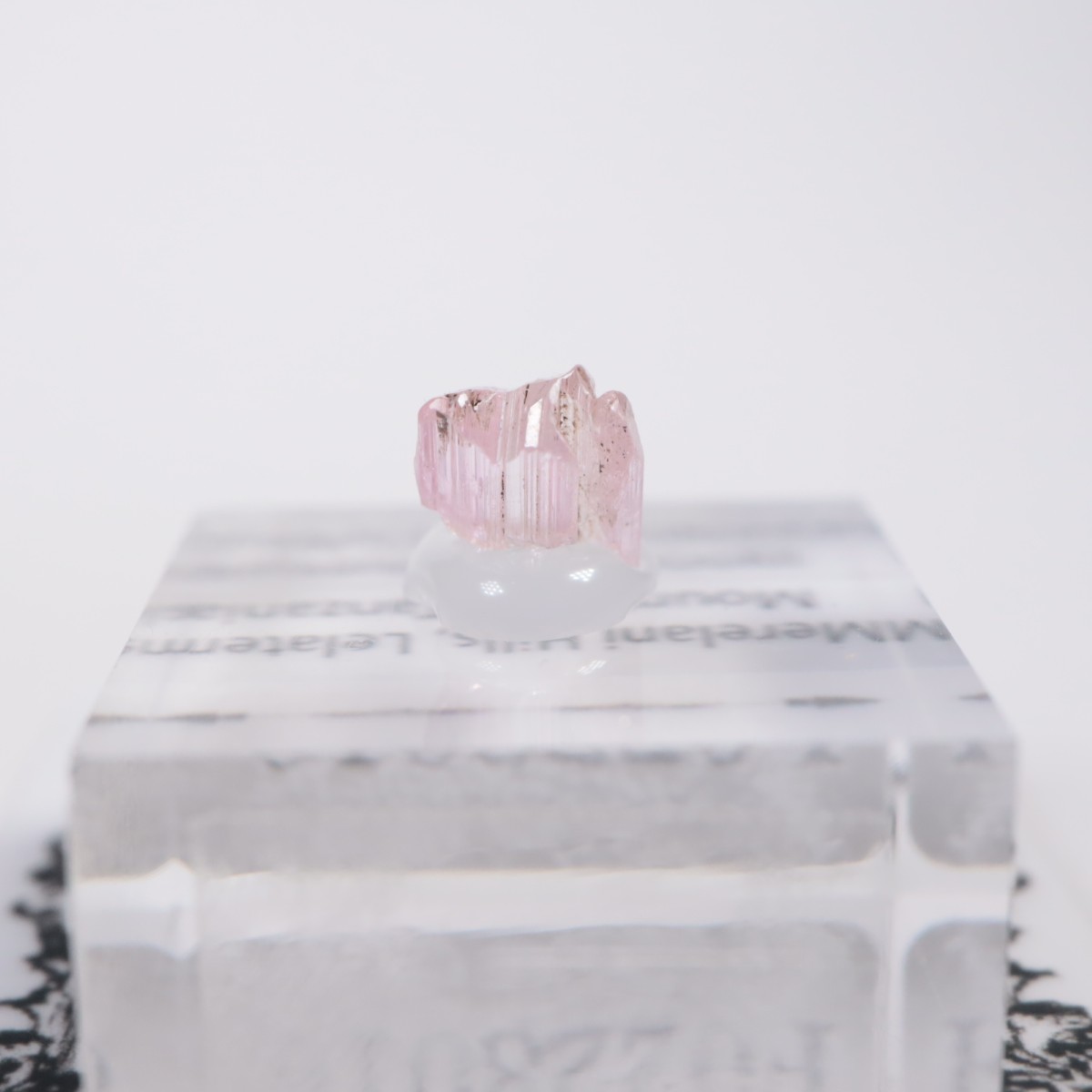 ����˥ҥ륺�� ���󥶥ʥ���