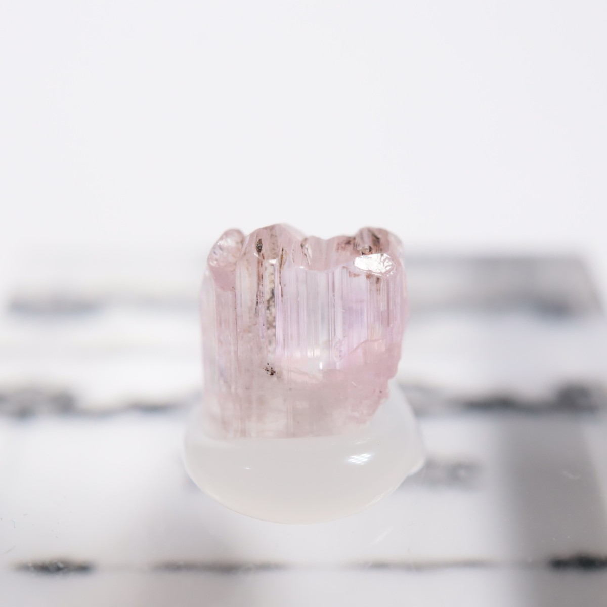 ����˥ҥ륺�� ���󥶥ʥ���