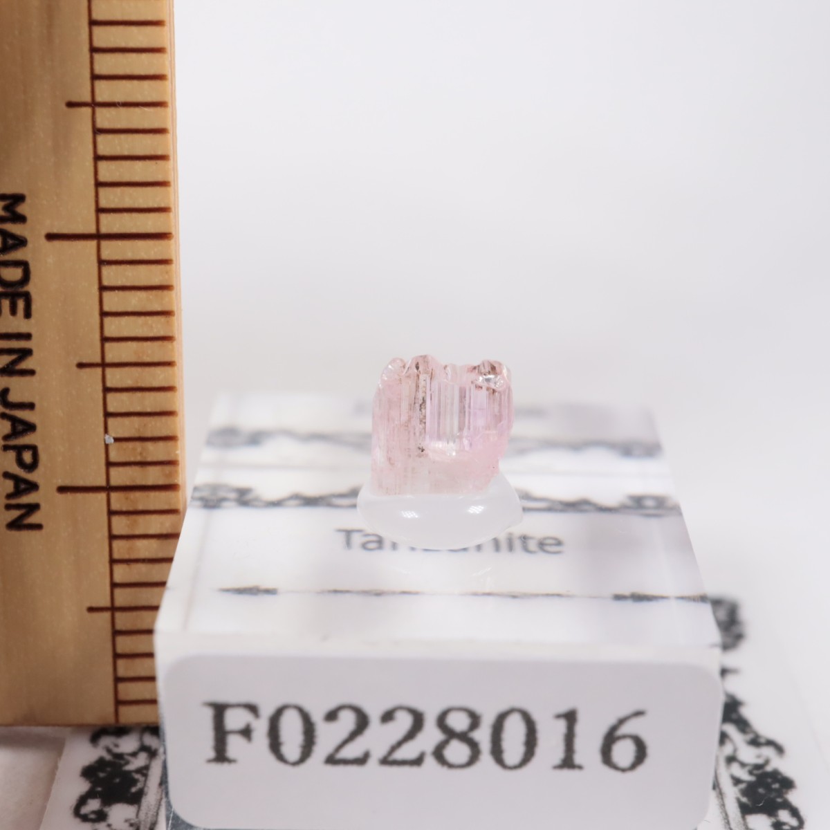 ����˥ҥ륺�� ���󥶥ʥ���