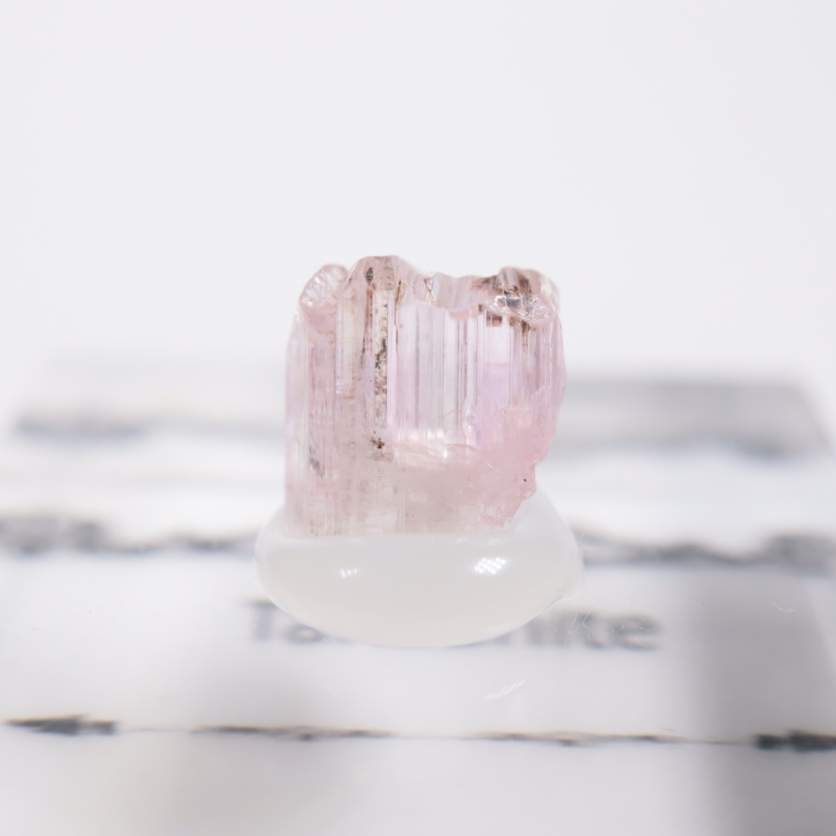 ����˥ҥ륺�� ���󥶥ʥ���