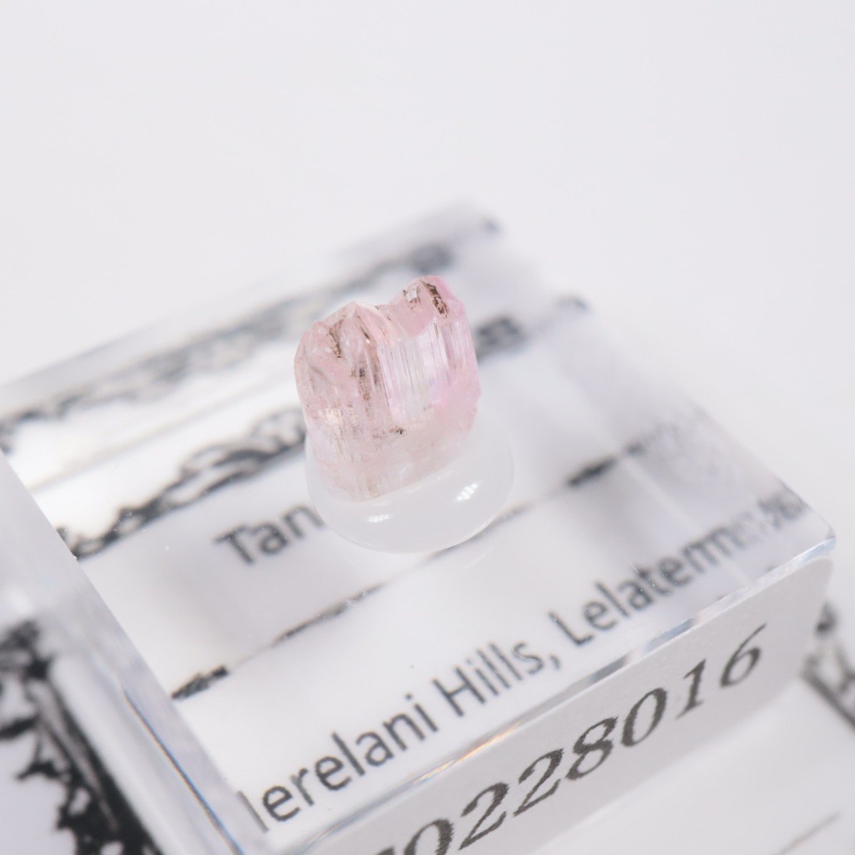 ����˥ҥ륺�� ���󥶥ʥ���