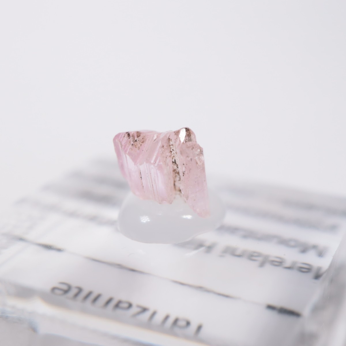 ����˥ҥ륺�� ���󥶥ʥ���