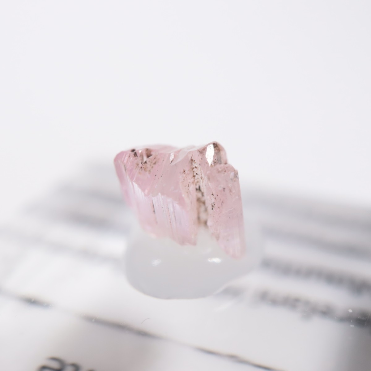 ����˥ҥ륺�� ���󥶥ʥ���