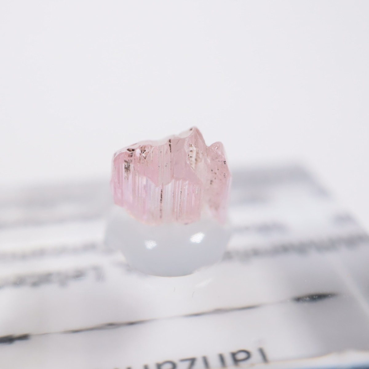 ����˥ҥ륺�� ���󥶥ʥ���