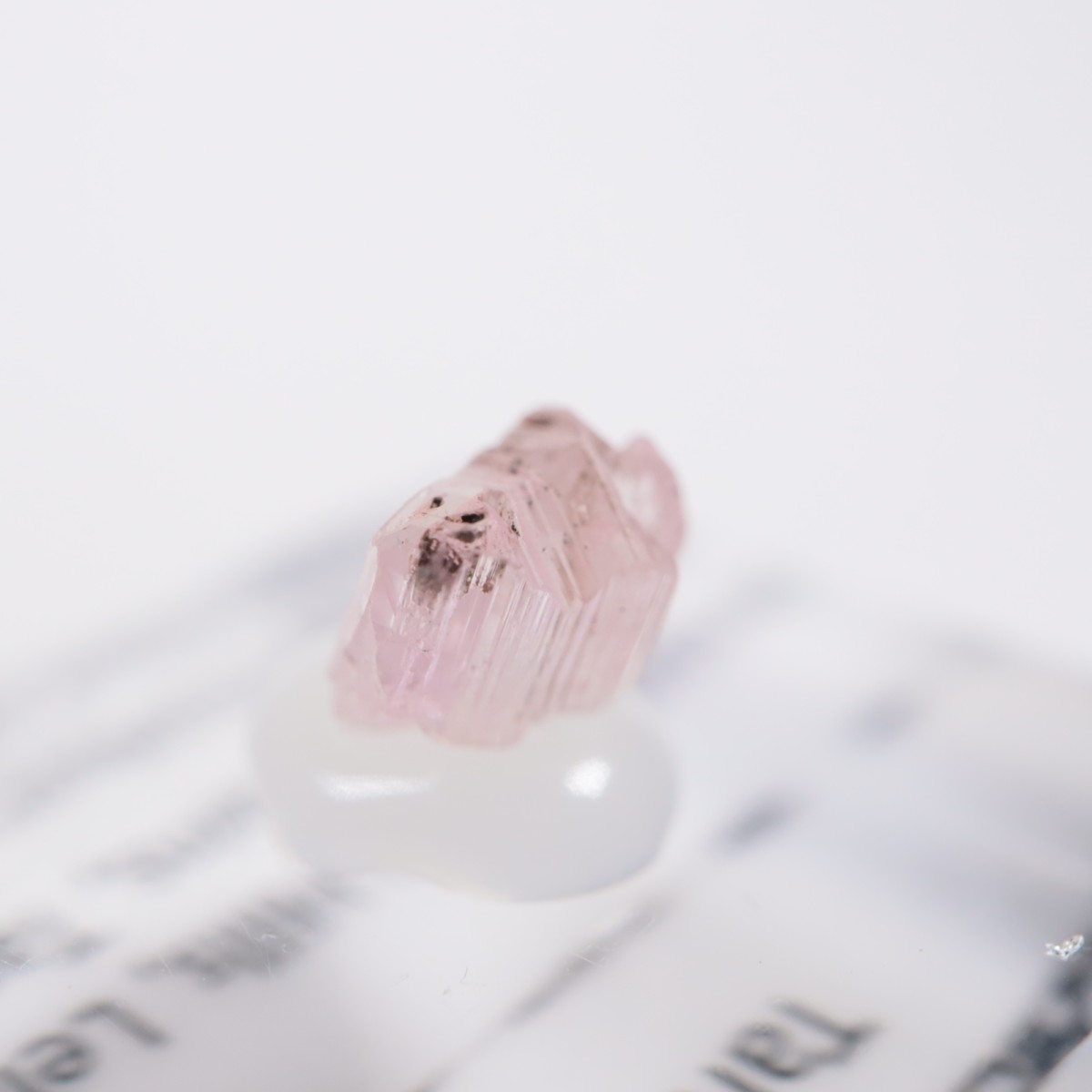 ����˥ҥ륺�� ���󥶥ʥ���