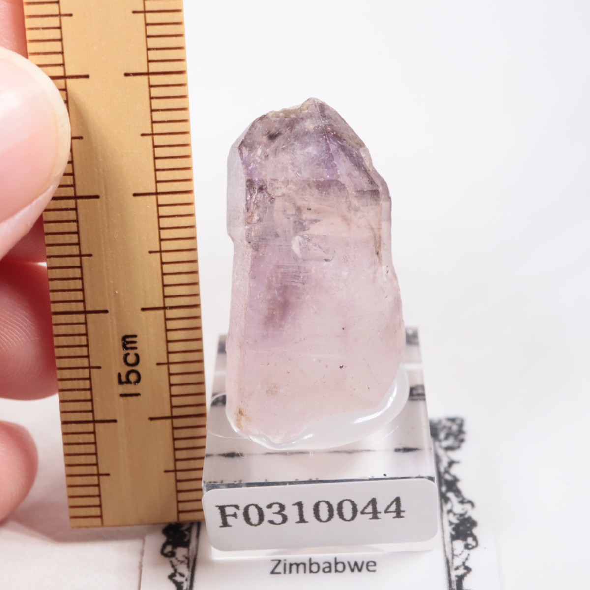 Chibuku�ۻ��� ���᥷����