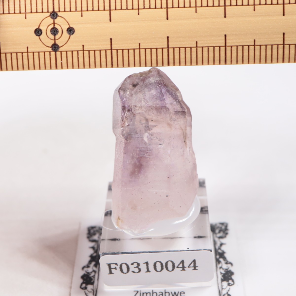 Chibuku�ۻ��� ���᥷����