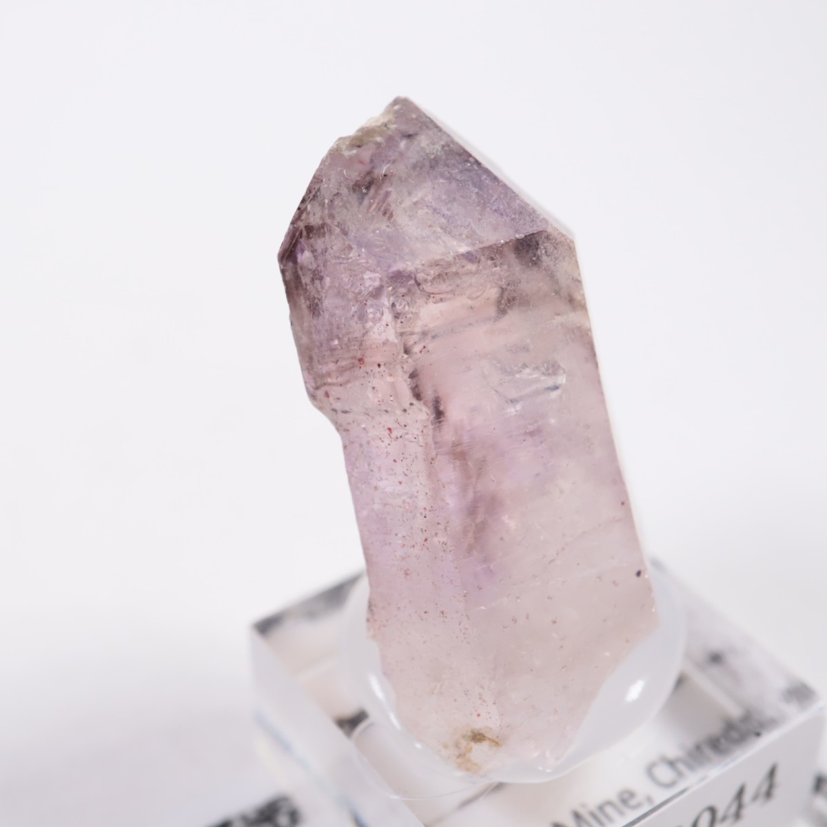 Chibuku�ۻ��� ���᥷����