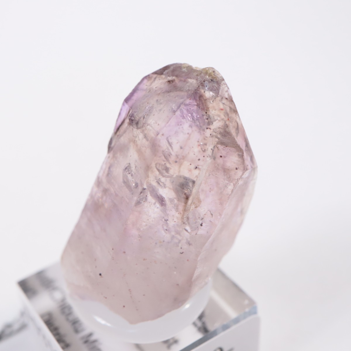 Chibuku�ۻ��� ���᥷����