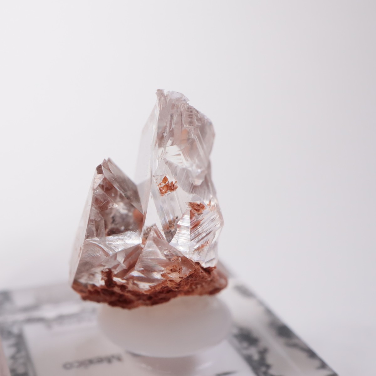 Durango�� ����ʥ���