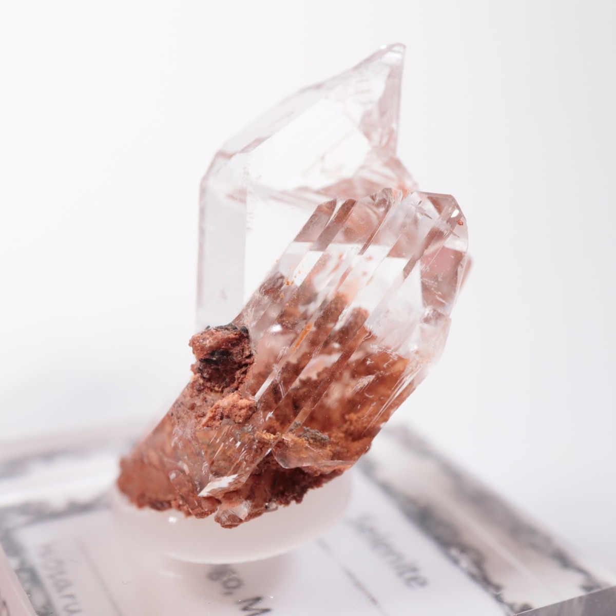 Durango�� ����ʥ���