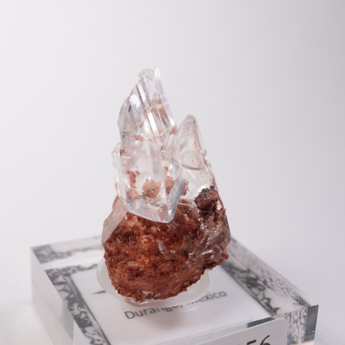 Durango�� ����ʥ���