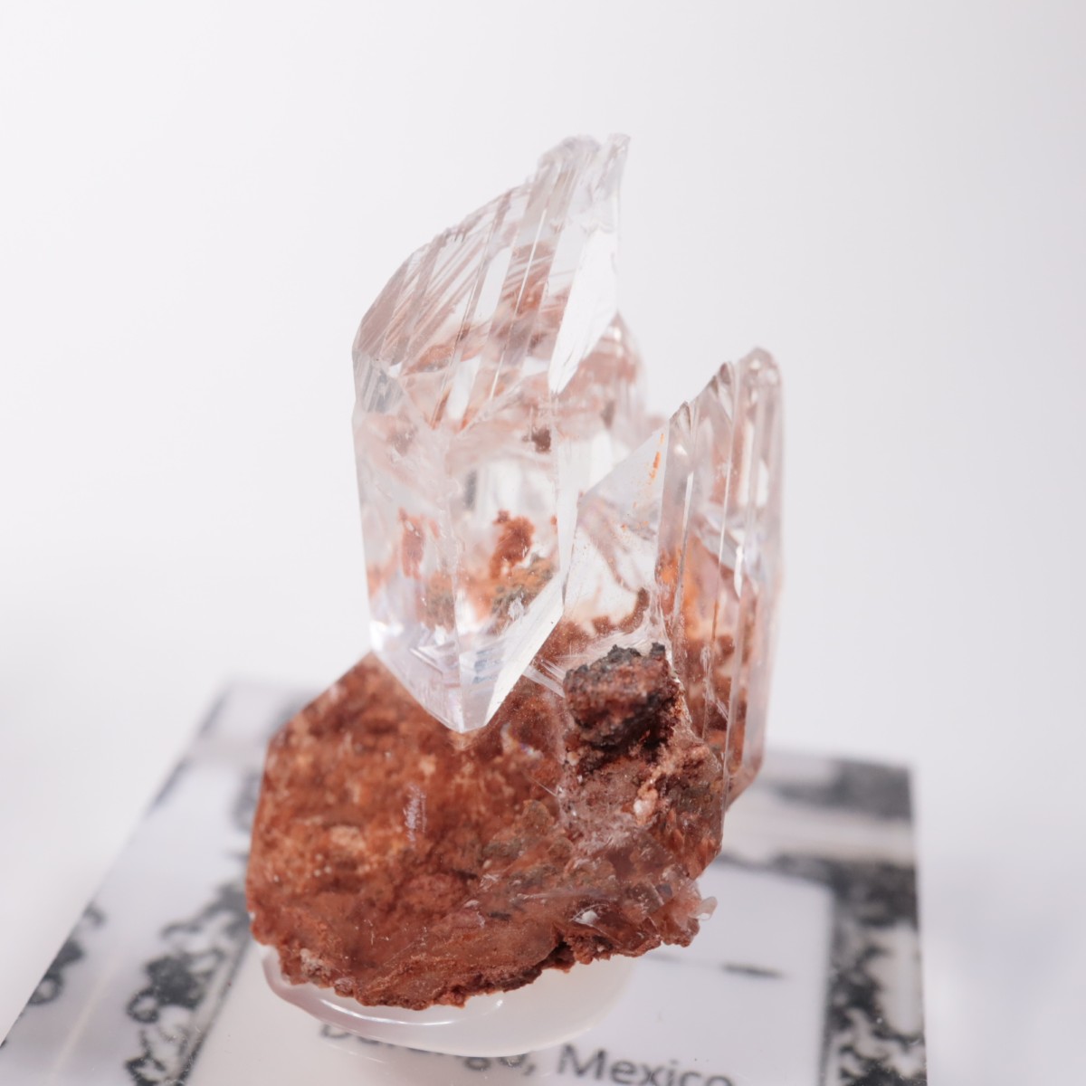 Durango�� ����ʥ���