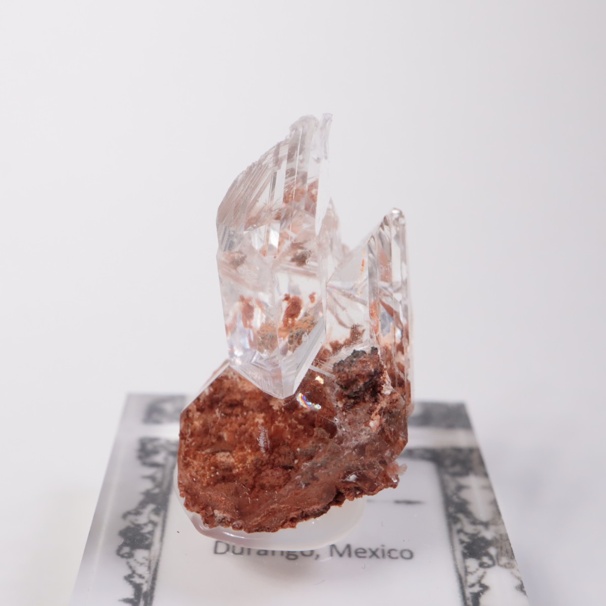 Durango�� ����ʥ���