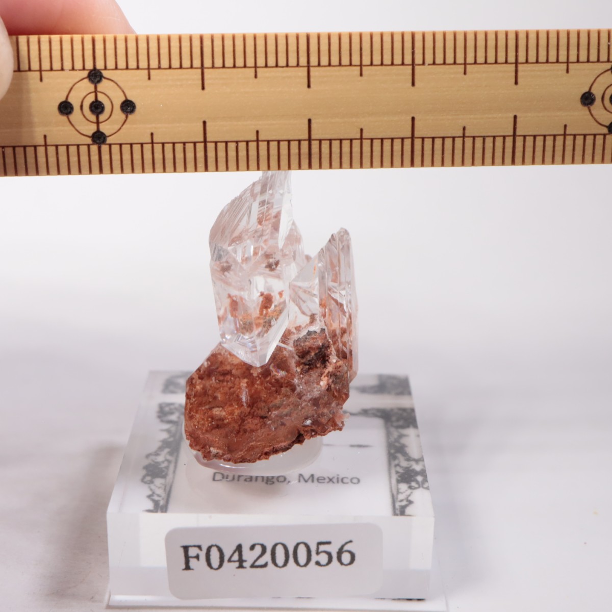 Durango�� ����ʥ���