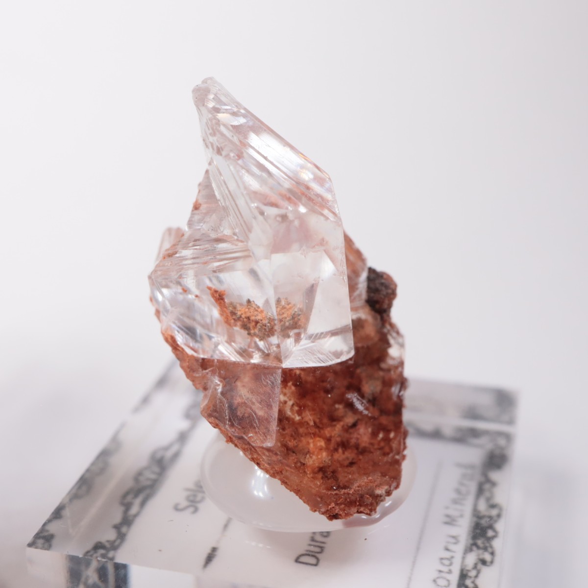 Durango�� ����ʥ���