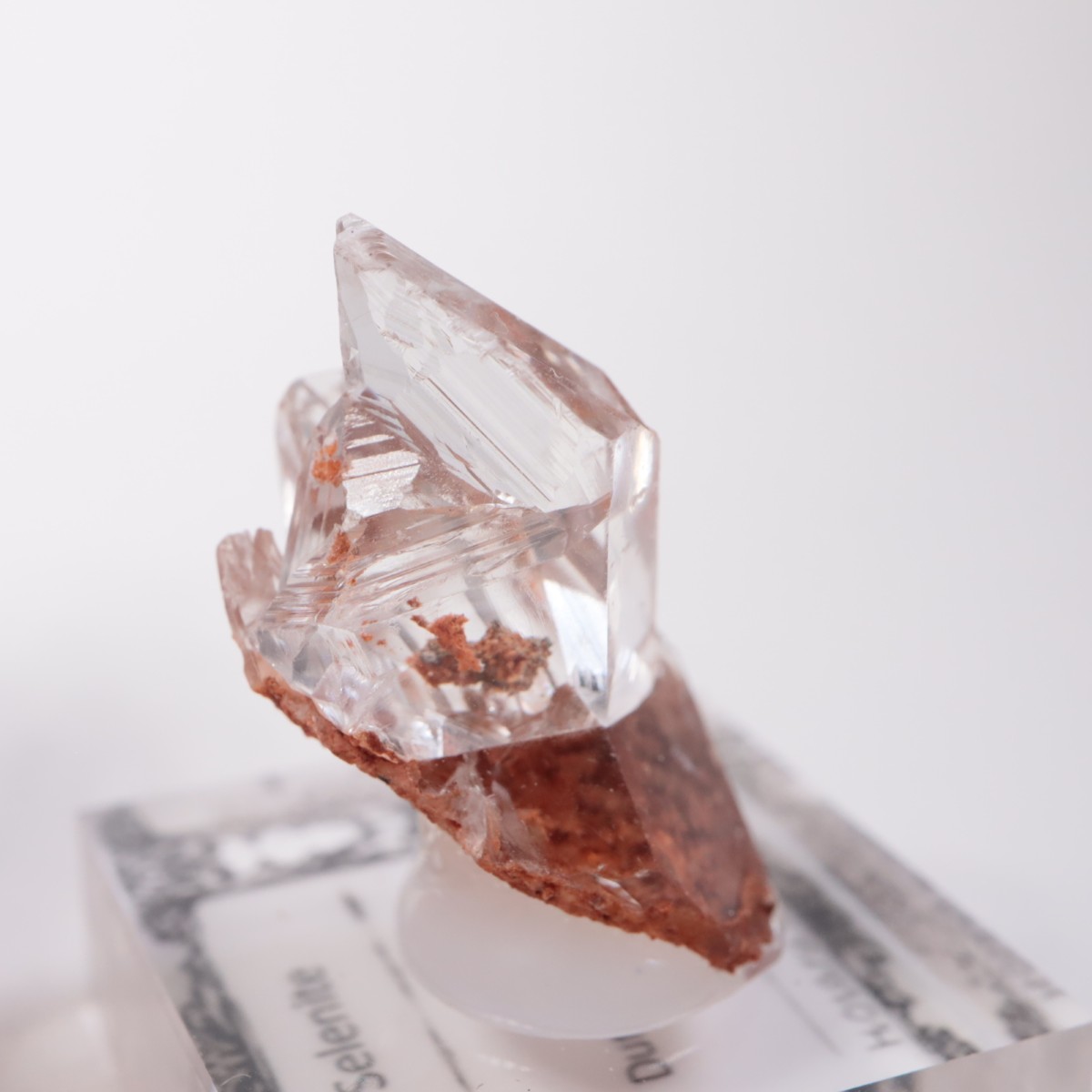 Durango�� ����ʥ���