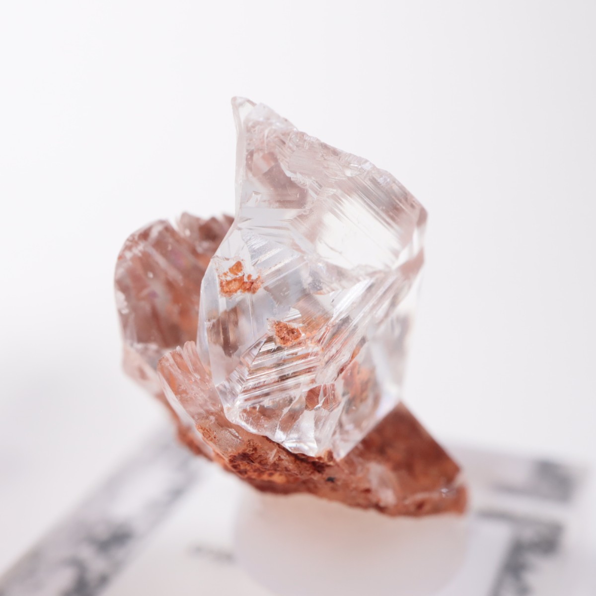 Durango�� ����ʥ���