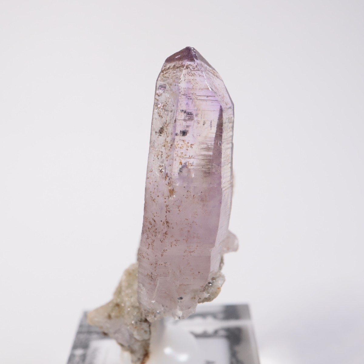 �٥饯�륹�� ���᥷����