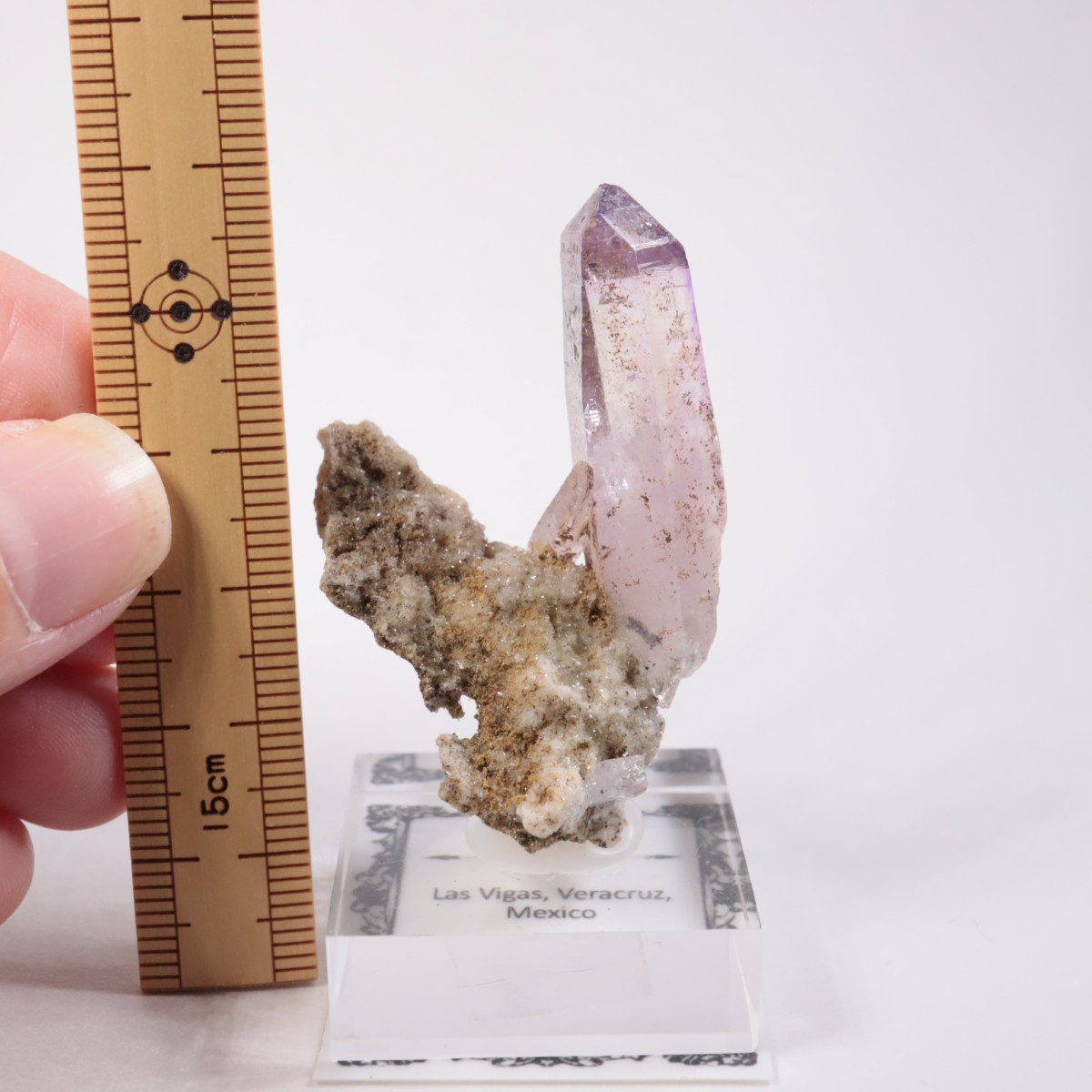 �٥饯�륹�� ���᥷����