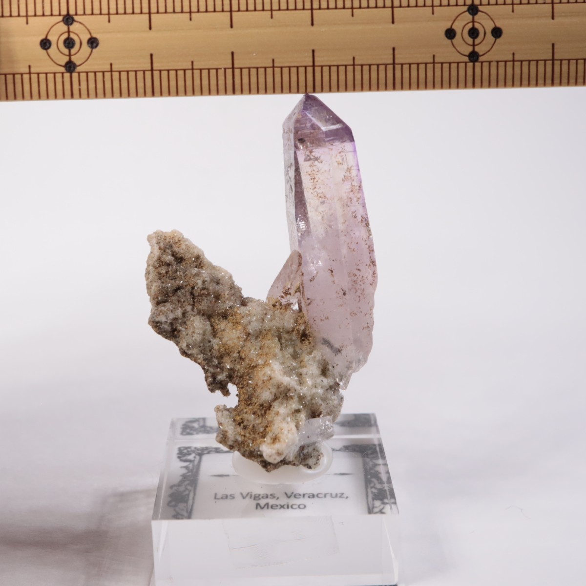 �٥饯�륹�� ���᥷����