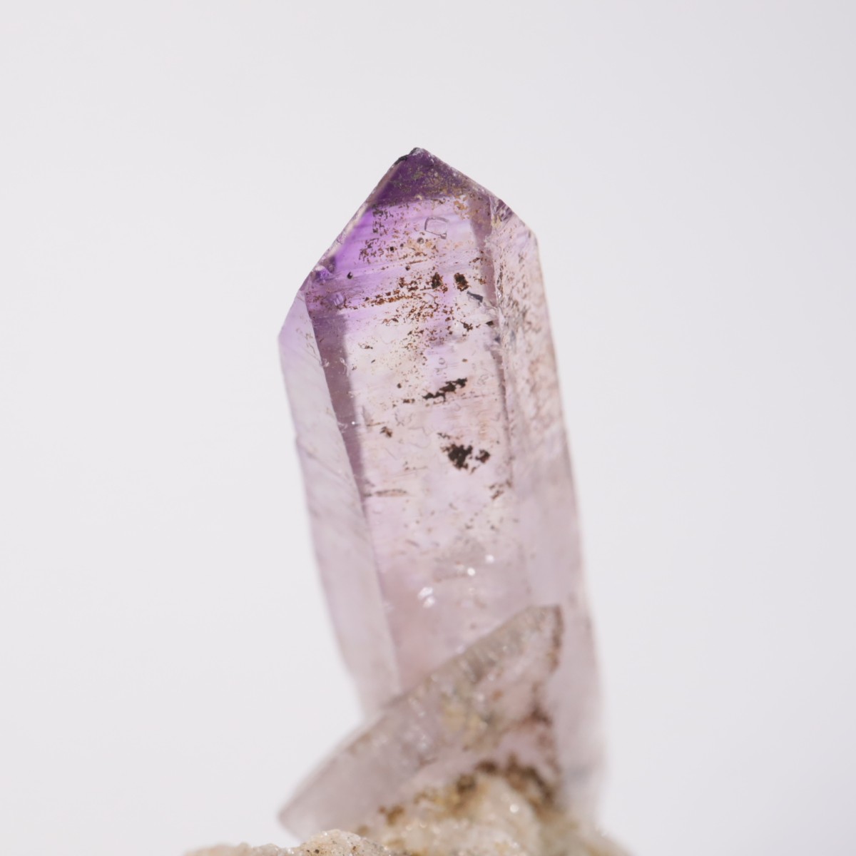 �٥饯�륹�� ���᥷����