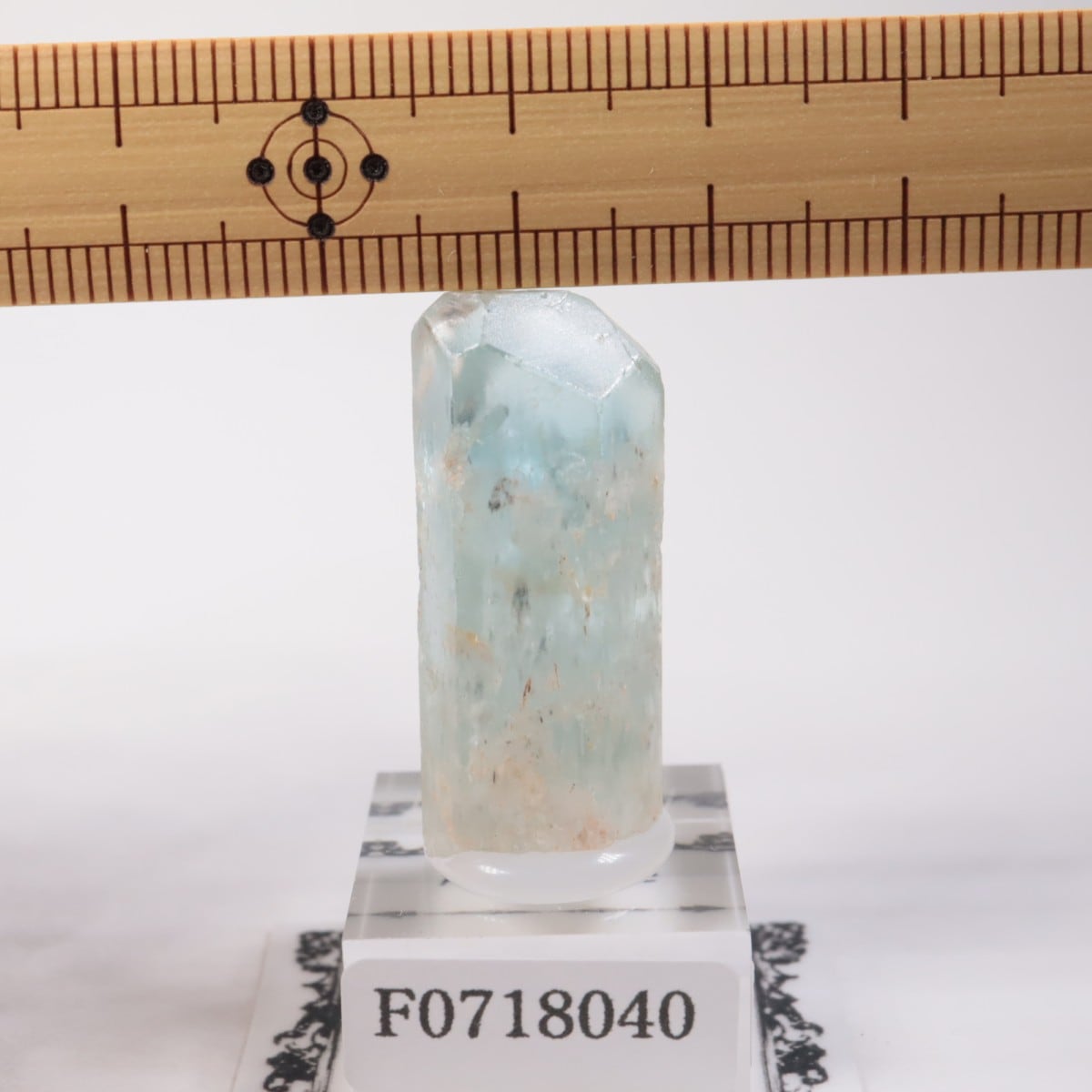 �֥饸�뻺���������ޥ��