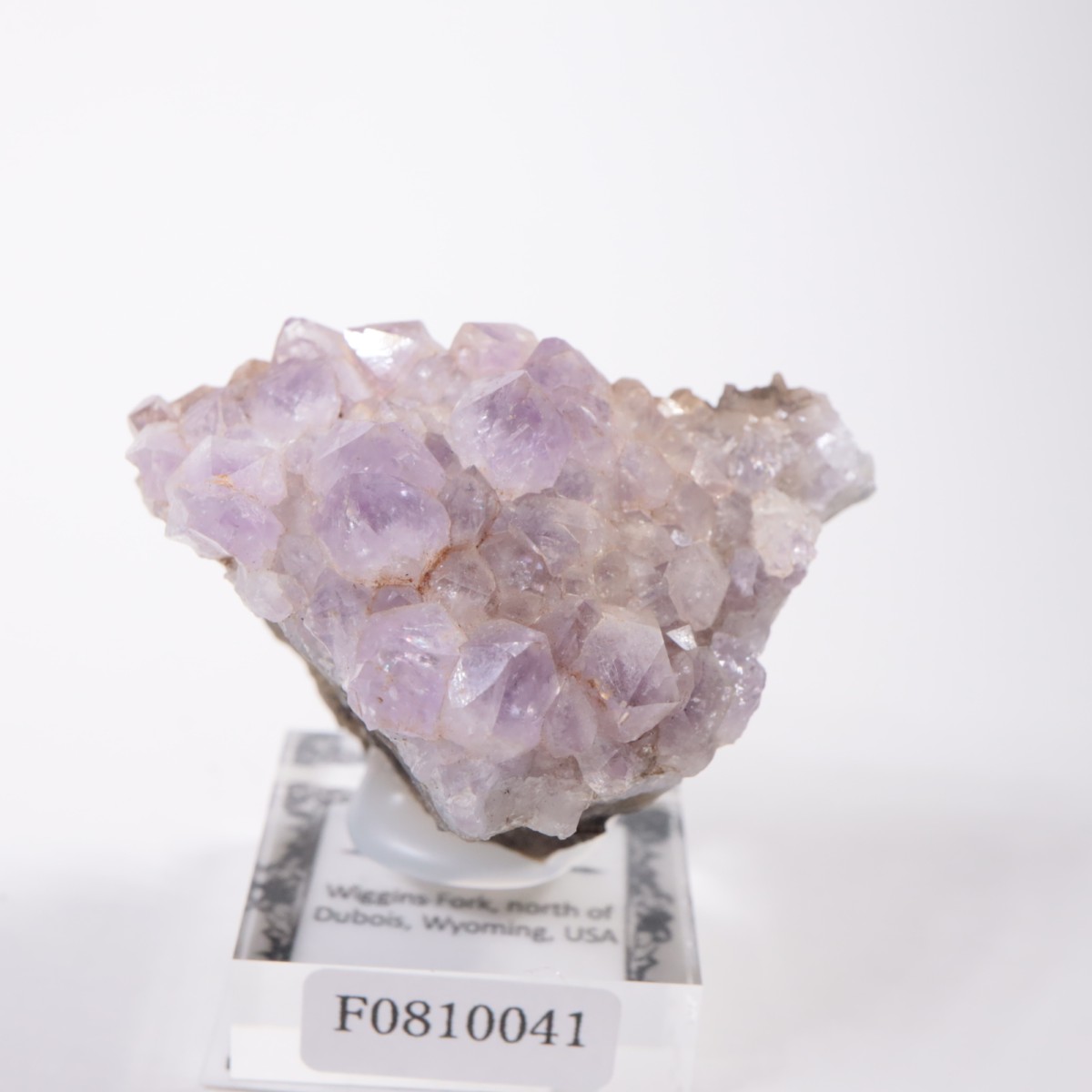 �磻���ߥ󥰽��� ���᥷����