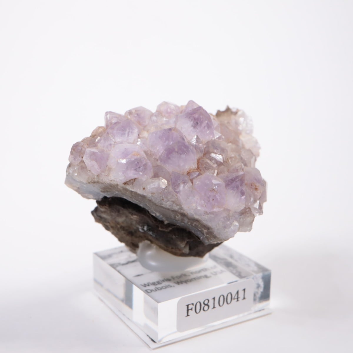 �磻���ߥ󥰽��� ���᥷����