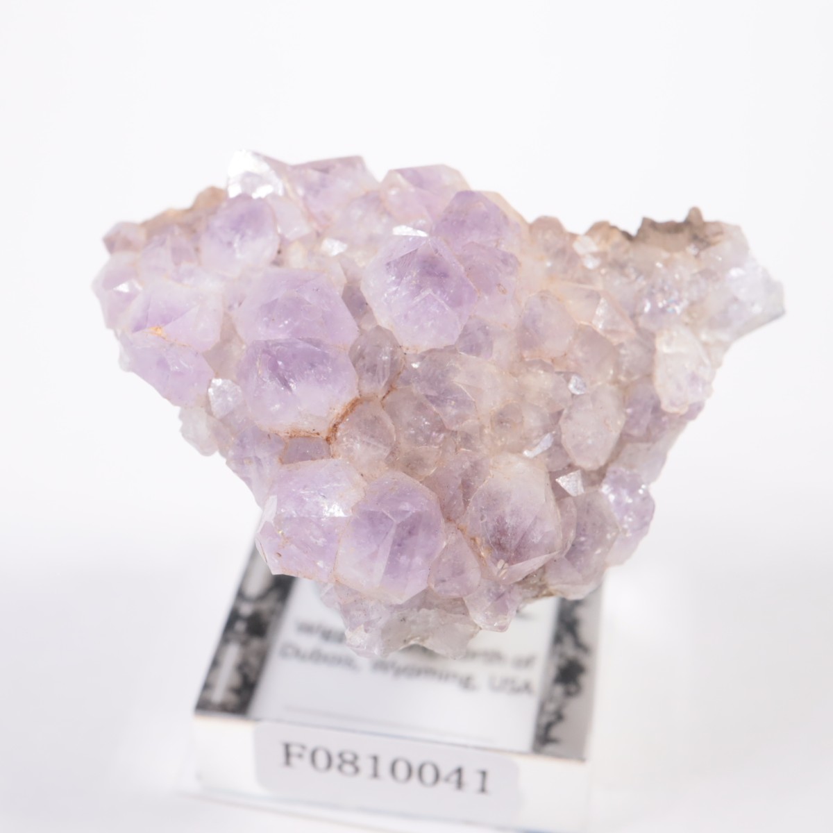 �磻���ߥ󥰽��� ���᥷����