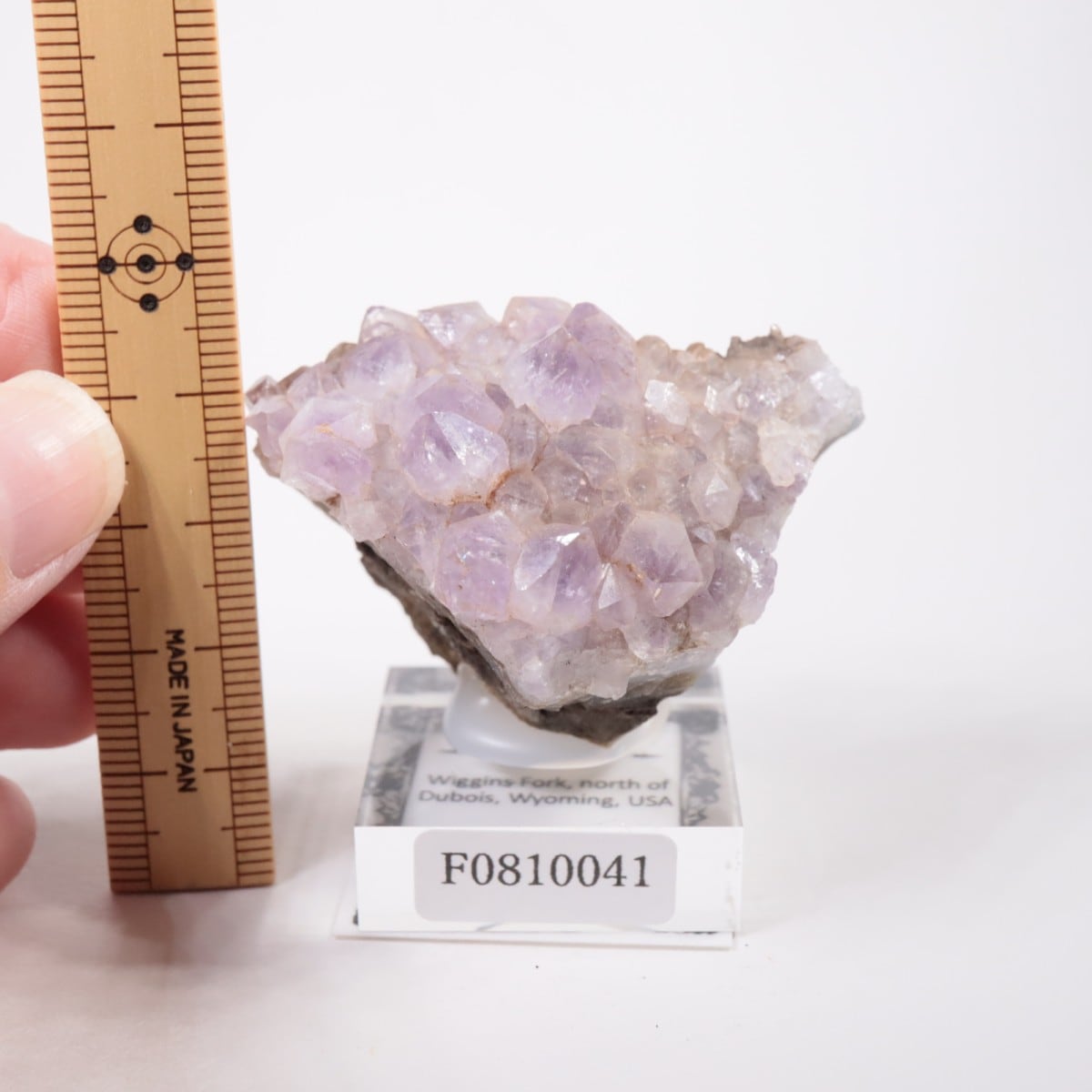 �磻���ߥ󥰽��� ���᥷����