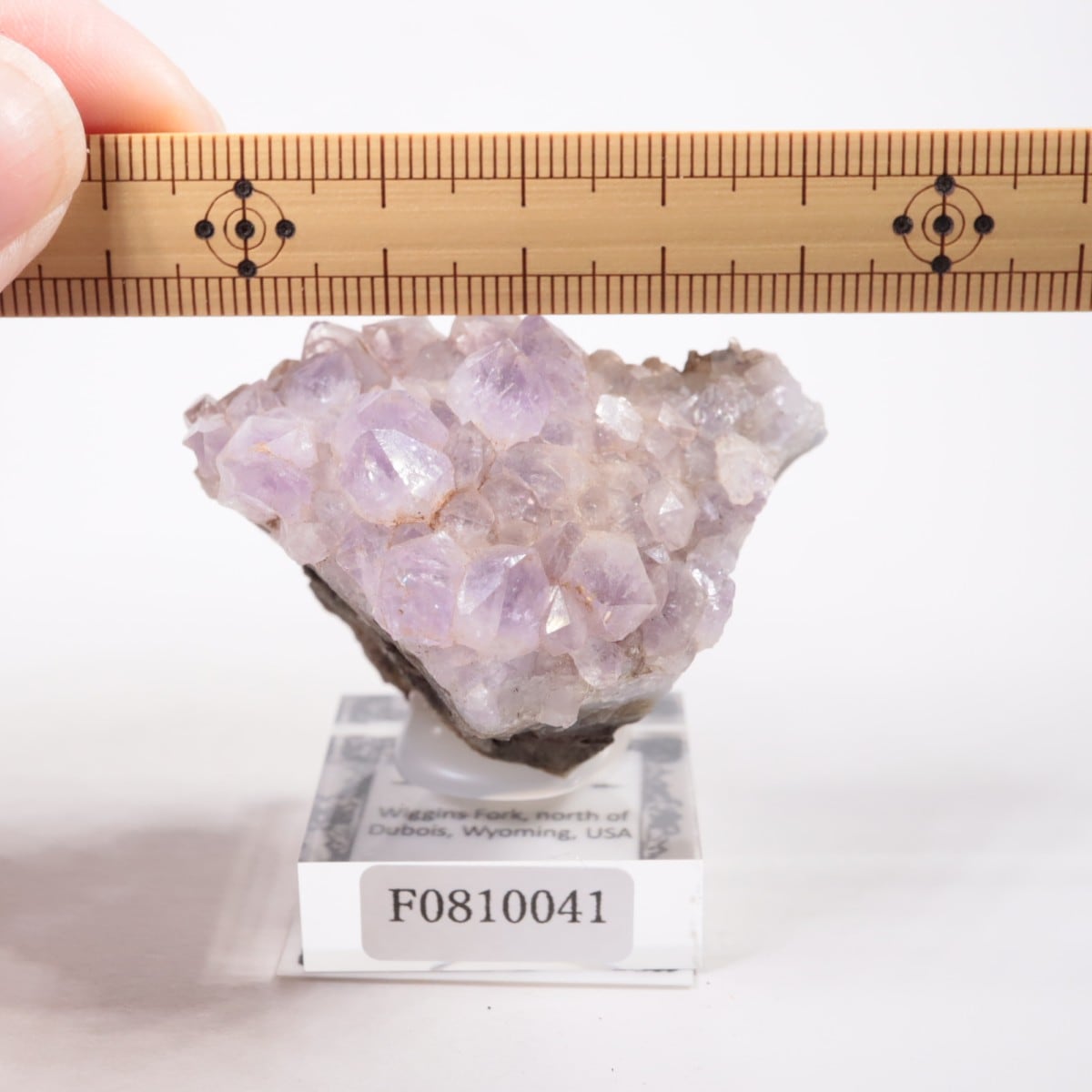 �磻���ߥ󥰽��� ���᥷����