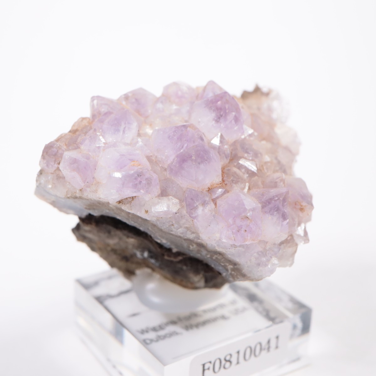 �磻���ߥ󥰽��� ���᥷����