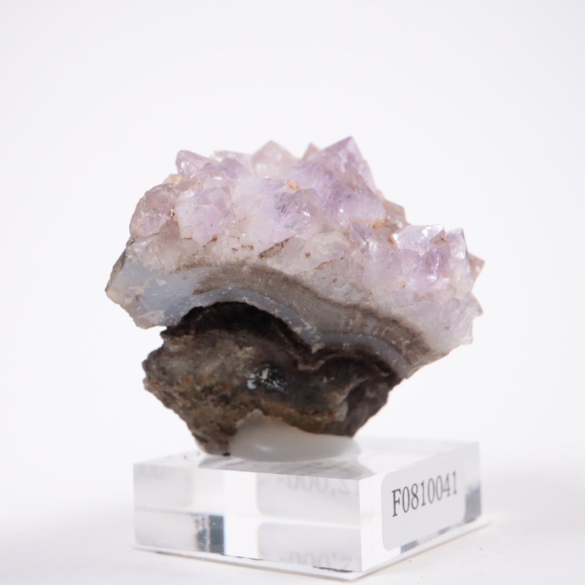 �磻���ߥ󥰽��� ���᥷����